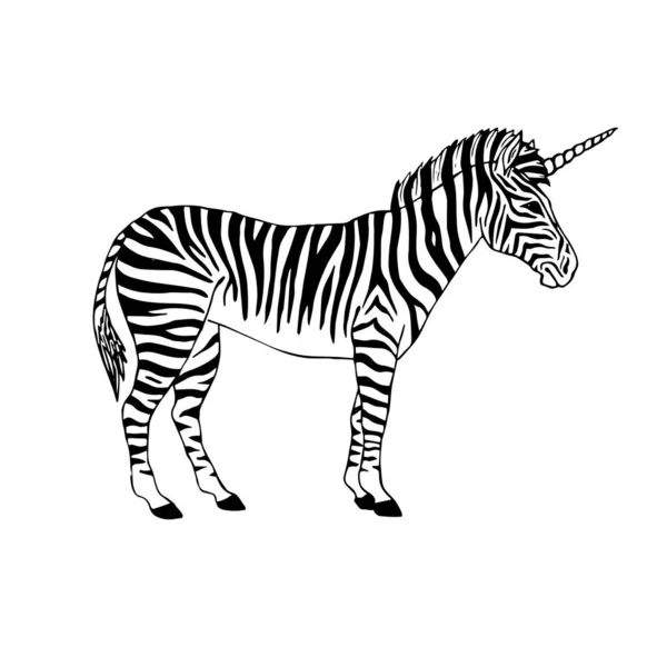 Wektor ręcznie rysowane Doodle czarna Zebra z rogu — Wektor stockowy