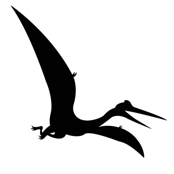 Pteranodon pterodactyl vektor silhuett — Stock vektor