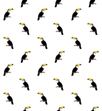 Düz karikatür toucan Vektör dikişsiz desen