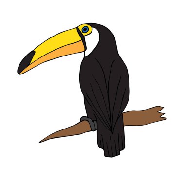 Vektör el çizilmiş karalama kroki toucan kuş 