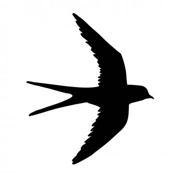 Beyaz üzerinde uçan kırlangıç Vektör siyah siluet