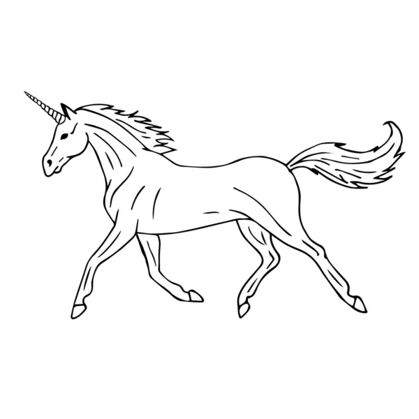 Vector dibujado a mano doodle bosquejo unicornio — Archivo Imágenes Vectoriales