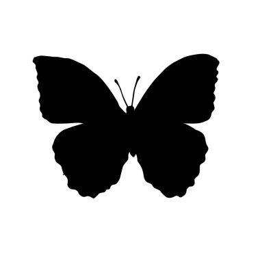 Beyaz üzerinde kelebeğin vektör düz siyah silueti