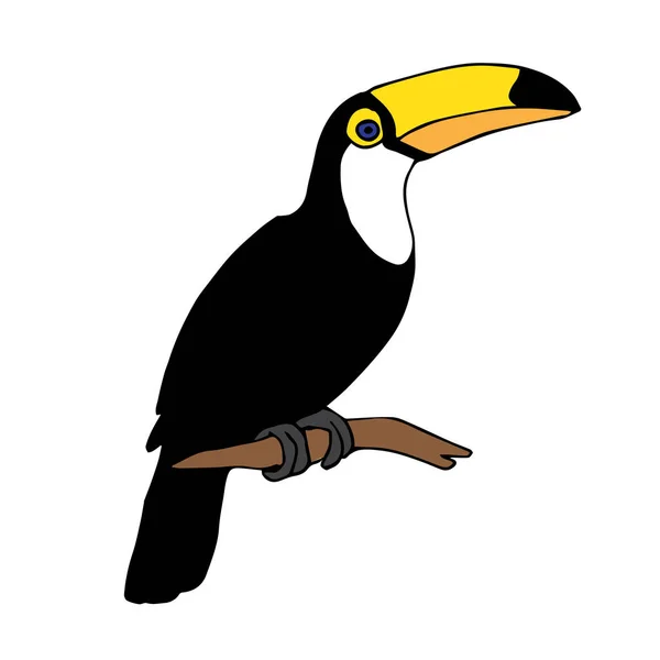 Vetor mão desenhada doodle pássaro tucano tropical —  Vetores de Stock