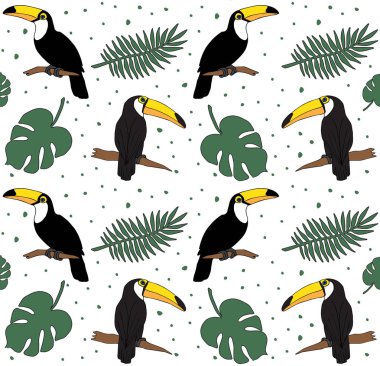 Vektör dikişsiz el çizilmiş toucan deseni