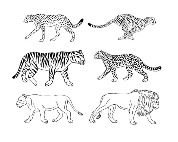 Ensemble dessiné à la main vectoriel de chats sauvages — Image vectorielle