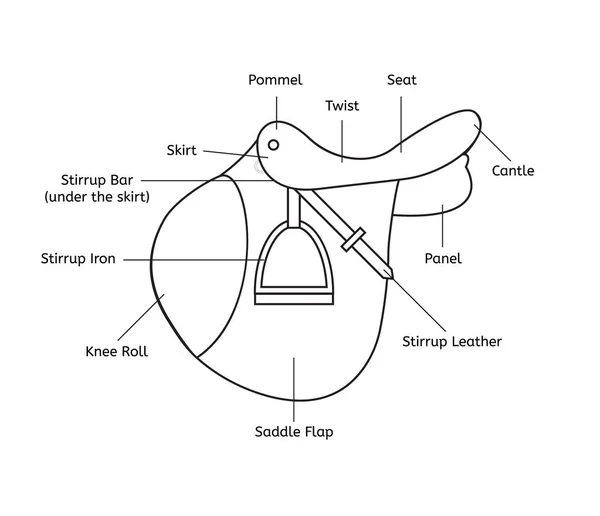 Vector zwarte lijn zadel onderdelen namen — Stockvector