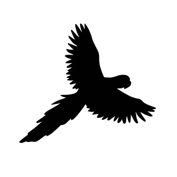 Vector czarna sylwetka latający papuga Macaw — Wektor stockowy