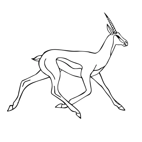 Vektor schwarze Umrisse handgezeichnete Skizze Antilope — Stockvektor