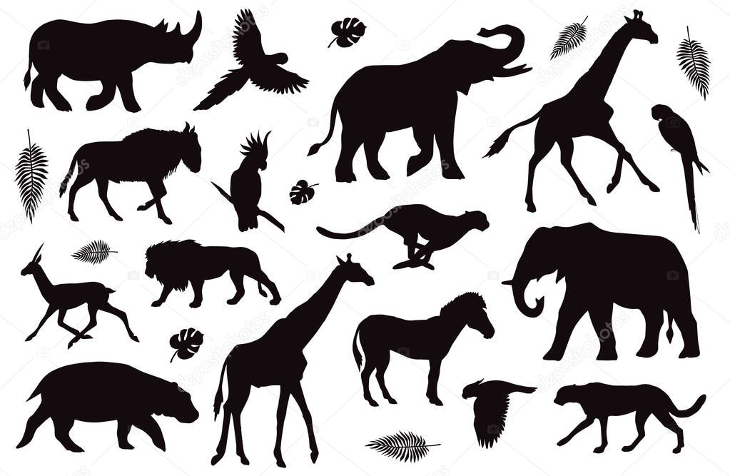 Vector black set of African animals silhouette