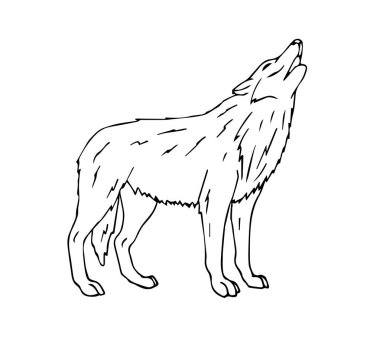 Vektör el çizilmiş doodle kroki kurt uluyan