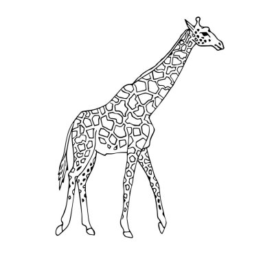 Vektör siyah el çizilmiş zürafa