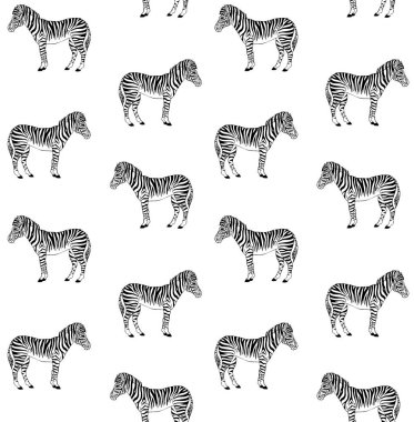 Vektör Dikişsiz desen el çizilmiş Zebra