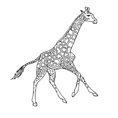 Vector black ink line hand drawn african giraffe clipart