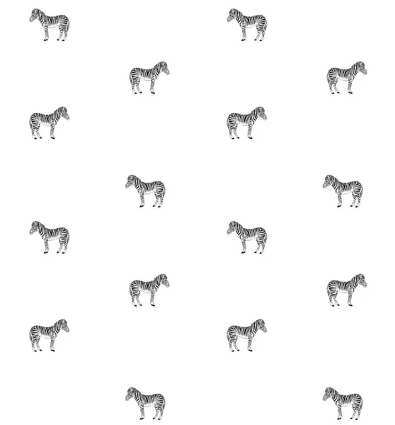Wektor bezszwowy wzór linii ręcznie rysowane Zebra — Wektor stockowy