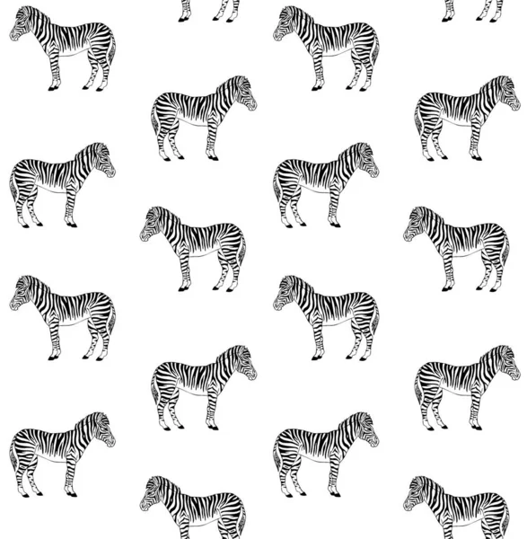 Vektör Dikişsiz desen el çizilmiş Zebra