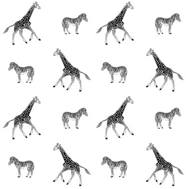 Zürafa ve zebranın kusursuz deseni