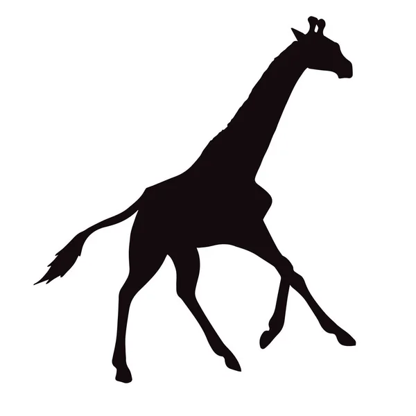 Silhouette plate noire vectorielle de girafe galopante — Image vectorielle