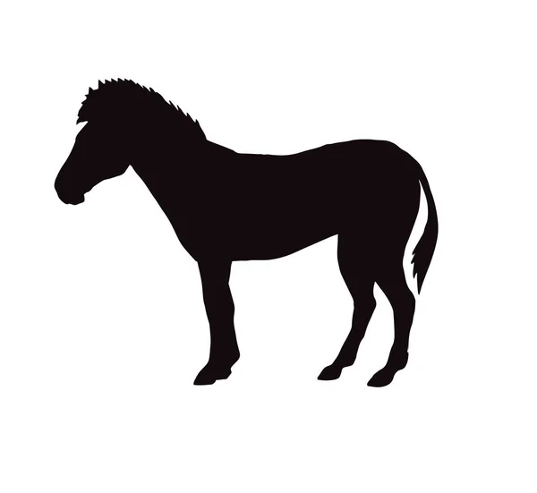 Vektor lapos fekete sziluettje Zebra ikon — Stock Vector