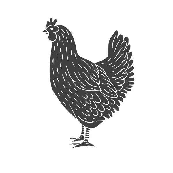 Vector hand drawn black sketch chicken — Stock Vector