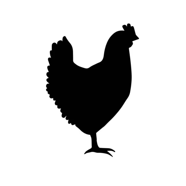 Vector black silhouette of chicken — Stock Vector