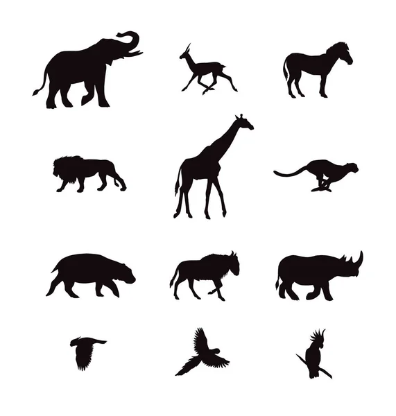 矢量黑色一套非洲动物剪影 — 图库矢量图片