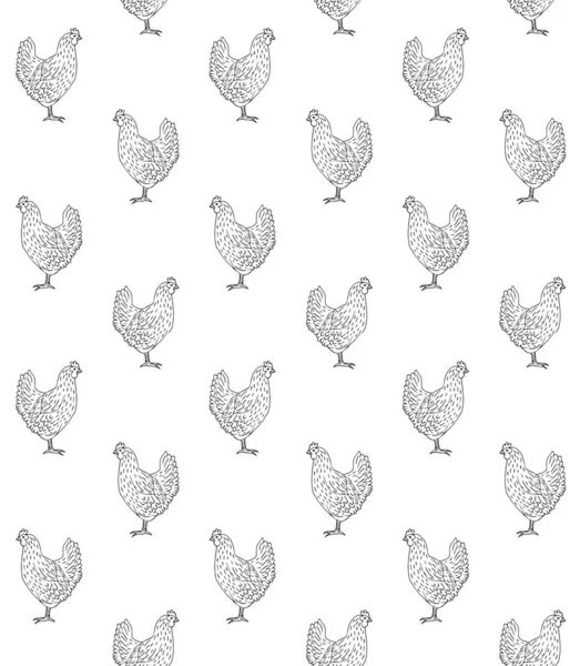 Vector seamless pattern of  hand drawn hicken — Stock Vector