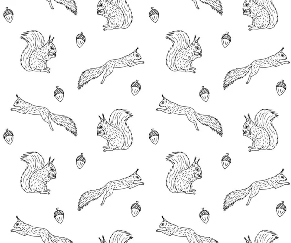 Modèle sans couture vectoriel d'écureuil dessiné à la main — Image vectorielle