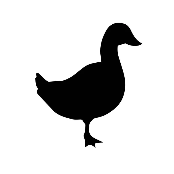 Vector plano silueta de pato negro — Archivo Imágenes Vectoriales