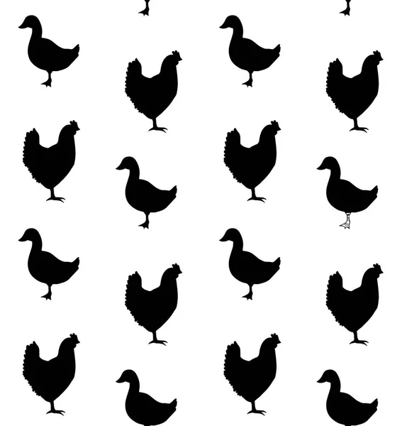 Vector Black Silhouettes Chickens Ducks — Stock Vector