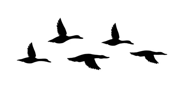 Vector Black Flock Flying Duck Silhouette Isolated White Background — Stock Vector