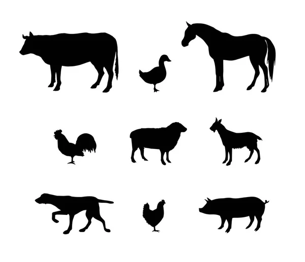 Conjunto Negro Vectorial Silueta Animales Domésticos Aislado Sobre Fondo Blanco — Archivo Imágenes Vectoriales