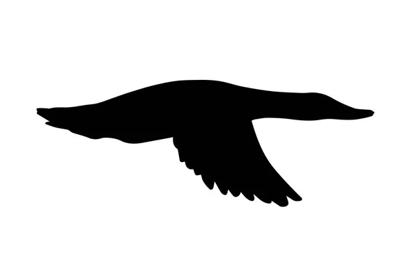 Silhouette Canard Noir Vecteur Isolée Sur Fond Blanc — Image vectorielle