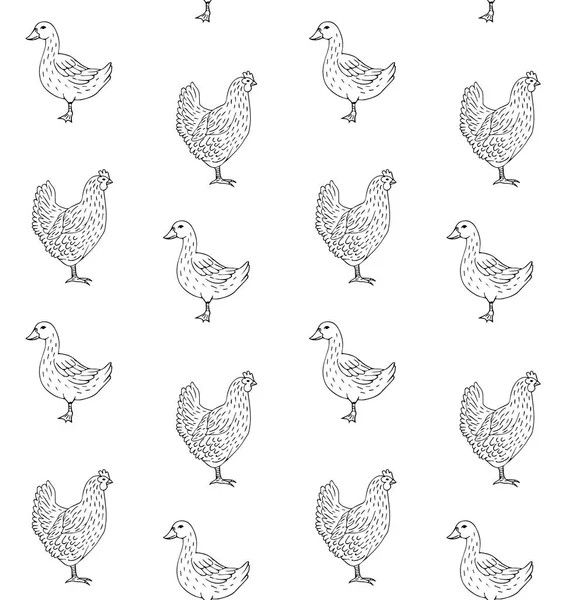 Vektor Illustrationen Von Cartoon Hühnern Und Enten Set — Stockvektor