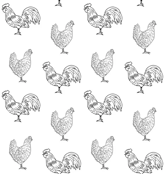 Vector Set Chicken Birds — Stock Vector
