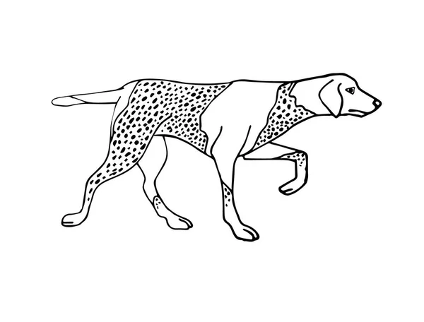 Векторна Ілюстрація Собаки Стилі Ескізів — стоковий вектор