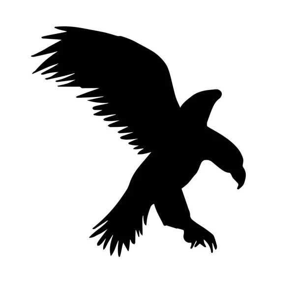 Διάνυσμα Ιπτάμενος Αετός Σιλουέτα Απομονωμένη Λευκό Φόντο — Διανυσματικό Αρχείο