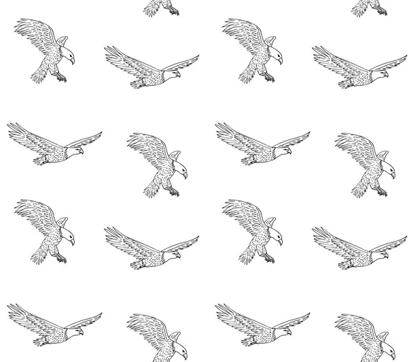 Patrón Sin Costura Vectorial Dibujo Dibujado Mano Águila Voladora Aislada — Archivo Imágenes Vectoriales