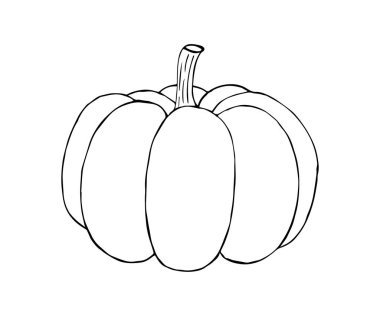 Vektör el çizimi beyaz arkaplanda izole edilmiş balkabağı kabağı 