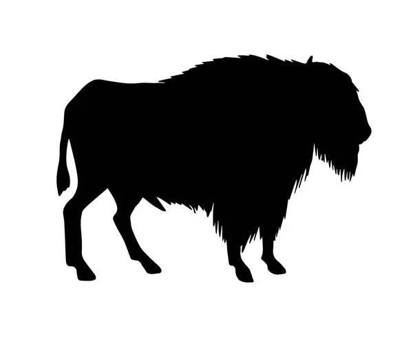 Vector Black Wild Wisent Ochsen Silhouette Isoliert Auf Weißem Hintergrund — Stockvektor