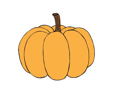 Vektör el çizimi beyaz arkaplanda izole edilmiş balkabağı kabağı 