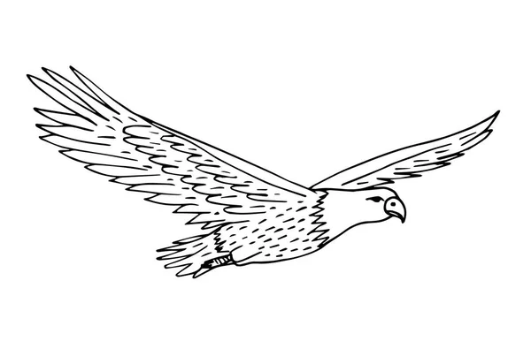 Croquis Vectoriel Dessiné Main Volant Aigle Américain Isolé Sur Fond — Image vectorielle