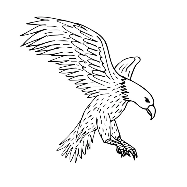 Croquis vectoriel dessiné à la main aigle volant — Image vectorielle