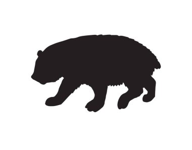 Bir ayının vektör silueti