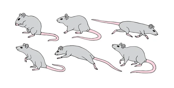 Wektor płaski czarny komplet ręcznie rysowane szary szczur — Wektor stockowy