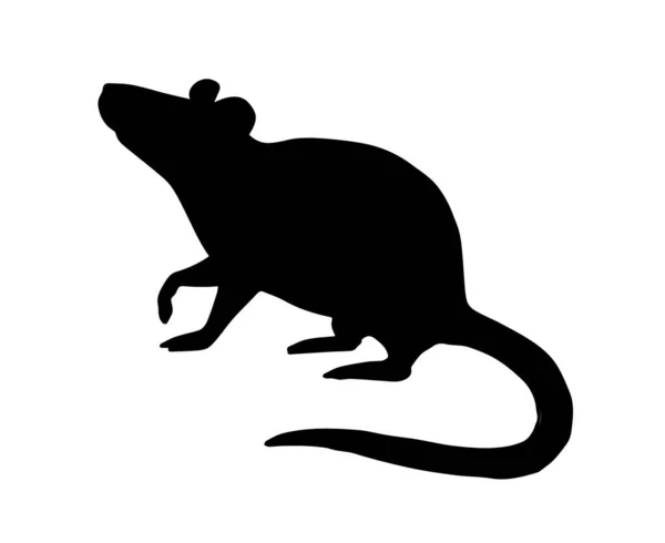 矢量黑鼠轮廓 — 图库矢量图片
