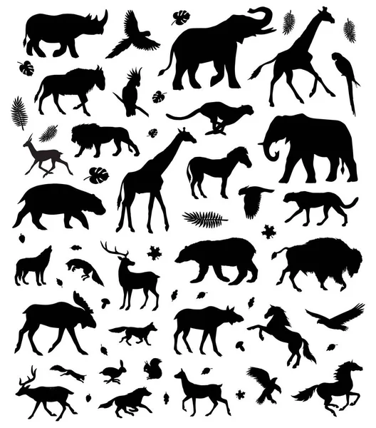 Conjunto Plano Vectorial Negro Diferentes Animales Salvajes Silueta Aislada Sobre — Archivo Imágenes Vectoriales