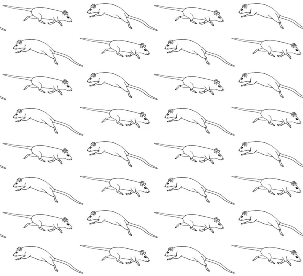 Vektor Nahtlose Muster Von Handgezeichneten Doodle Skizze Ratten Mäuse Isoliert — Stockvektor