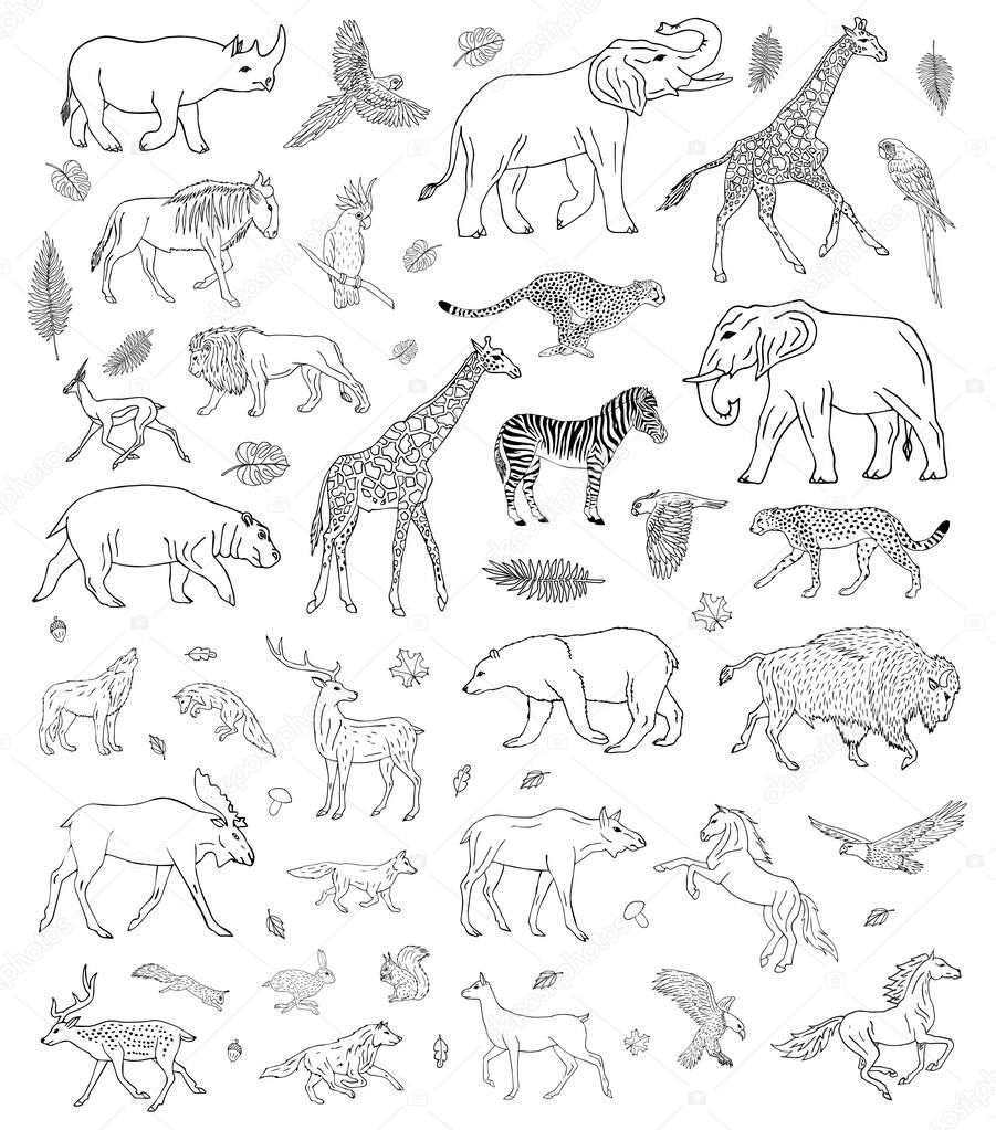 Vector hand drawn sketch set of different wild animals isolated on white background