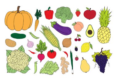 Elle çizilmiş vektör demeti. Renkli sebzeler. Beyaz arka plana izole edilmiş meyve ve böğürtlenler.